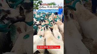 Retteri Market 2024  14062024 BAKRID 2024  2024 goat sheep animals india shorts reels [upl. by Ecal877]