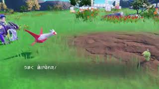 ポケモンSV 速報＆情報！！公式より新たに幻ポケモンゲットキャンペーンが告知されたぞ、その名も「幻のポケモンゲット大作戦」！！2024 09 07 17 26 19 [upl. by Nekcerb587]