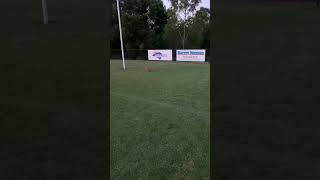 Dribble kick goal [upl. by Ardine]