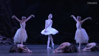 Zenaida Yanowsky  Swan Lake Act 4  Royal Ballet [upl. by Animsaj]