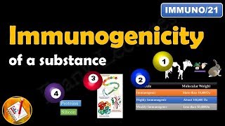 Immunogenicity Properties determining immunogenicity of a substance FLImmuno21 [upl. by Engleman]