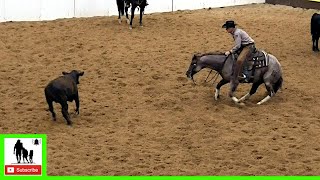 Cutting Horses Class 56 Final  2020 Metallic Cat West Texas Futurity [upl. by Rodmann]