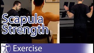 Scapula Strengthening Exercises  Early Shoulder Rehab [upl. by Wagner]