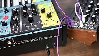 Moog Matriarch  Moog DFAM  Demo [upl. by Shay]