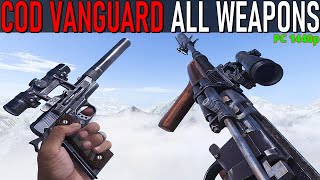 COD VANGUARD All Weapons [upl. by Karola434]