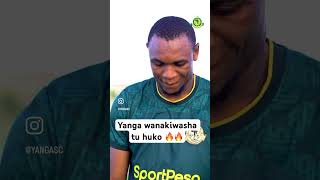 Yanga hawataki utani tena wako busy na tizi🔥🔥 ayomamedia [upl. by Adnwahsat]