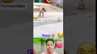 Comedyin🤣shortsfeed viralvideo youtubeshorts funny comedy tiktok maleklife1 foryou video [upl. by Hubbard873]