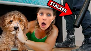 STALKER Tries To STEAL My DOG [upl. by Benenson]