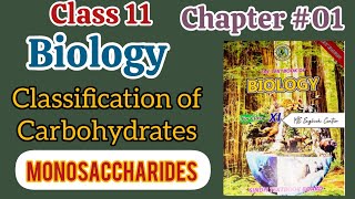 MonosaccharidesClassification of Carbohydrates  11th Biology Chapter01 Biological molecules [upl. by Monro39]