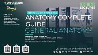 General anatomy  Anatomy of cartilage [upl. by Philoo932]