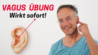 VAGUSNERV MASSAGE  Stress und Unruhe SOFORT auflösen [upl. by Anitnoc]