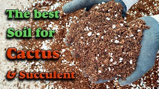 Cactus amp Succulent soil mix  How to make the best Cactus amp Succulent soil mix [upl. by Heda]