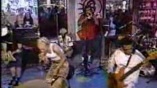 No Doubt  Spiderwebs live on MuchMusic 96 [upl. by Adnara]