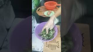 Resepi Bayam Brazil goreng Tepung Cara Sha MamaZill MamaZillKitchen [upl. by Rori682]