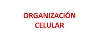 Organización celular [upl. by Kramer94]