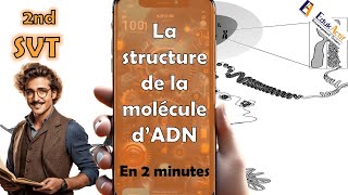 Lessentiel en 2 minutes sur la structure de la molécule dADN  SECONDE  SVT  adn seconde [upl. by Nillok759]