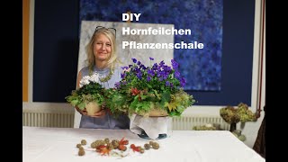 diezürcherin Hornfeilchen Pflanzenschale Dekoration diy floristik floraldesign deutsch [upl. by Eddie]