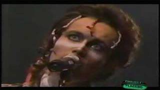 Adam and the Ants quotAntz Invasionquot  Live on Project Placebo [upl. by Celinda]