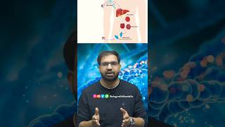 Malaria  Plasmodium  Life cycle of Female Anopheles mosquito [upl. by Esten]