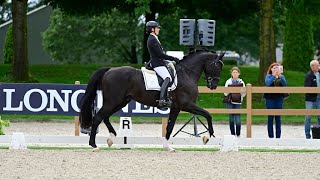 LONGINES FEI  WBFSH World Breeding Dressage Championship for Young Horses Ermelo NEDAugust 2023 [upl. by Redmund]