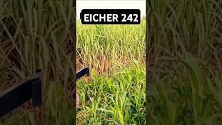 EICHER 242FULLY MODIFIED [upl. by Levona10]