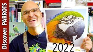 Parrot Calendars 2022  Discover PARROTS [upl. by Maril]