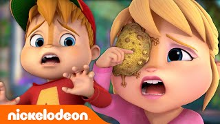 Can Alvin Rescue The Chipmunks From A TOAD Attack  ALVINNN  Nicktoons [upl. by Ddet829]