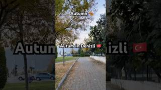 Sonbahar autumn musim gugur November 2024 nurdemiroglu travel denizli indoturki autumnfyp [upl. by Elna]