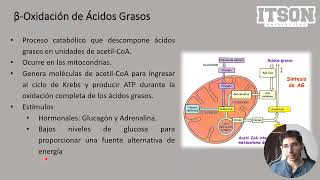 Metabolismo de lípidos e Introducción a las Vitaminas [upl. by Atinra]