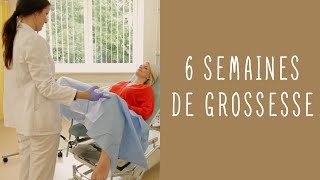 6 semaines de grossesse [upl. by Acsicnarf]