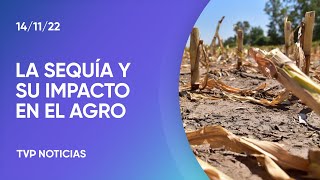 La sequía y su impacto económico en el trigo la cebada y el maíz [upl. by Aisanahta]