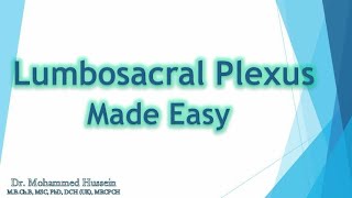 Lumbosacral Plexus Made Easy [upl. by Aiekat]