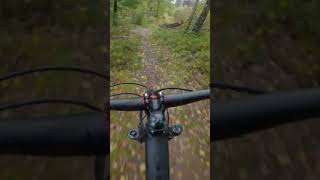 My favorite section on the hill mtb downhill [upl. by Nuris753]