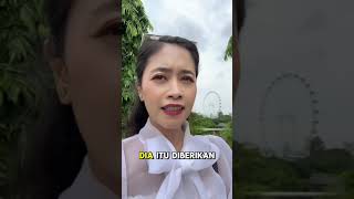 Yang Dihitung Ganti Rugi Penggantian Wajar Singkat [upl. by Erdua]