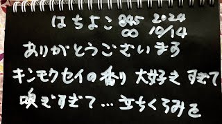 大好きな✨癒される香りを嗅ぎ過ぎて、幸せを感じるけれど💦立ちくらみになるそんな方、私以外にいらっしゃいますか？今日の出来事です [upl. by Sualohcin]