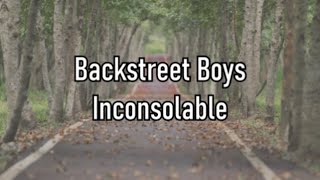 Backstreet Boys  Inconsolable  Lyrics [upl. by Kaehpos]