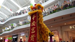 Astonishing Lion and Dragon Dance on Pole at Jurong Point with Chewy [upl. by Aivax]