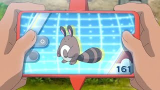 Sentret Pokédex Entrieswmv [upl. by Neret886]