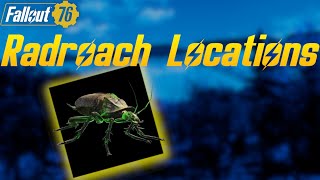 Fallout 76  Radroach Locations [upl. by Kraus]