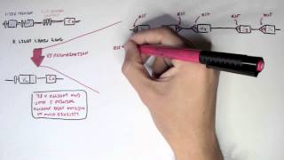 Immunology  Antibody Somatic VDJ Recombination II [upl. by Kalfas]