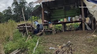 Kehidupan di pedalaman kalimantan suasana mangetem paresei lijuteweh timurbarito timurkalteng [upl. by Laven6]