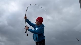 Small eyed Ray fishing  Porthcawl pier 🏴󠁧󠁢󠁷󠁬󠁳󠁿🎣 [upl. by Nilram523]