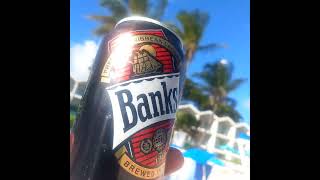 A banks trees barbados 🇧🇧 🌴🍺 [upl. by Vyse738]