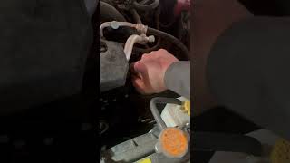 2017 Subaru Forester Oil Change oilchange subaru forester royalpurple oil l [upl. by Rattan384]