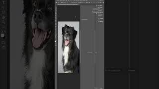 Como hacer RECORTES PERFECTOS y ELIMINAR el FONDO en Photoshop tutorialphotoshop [upl. by Maddock]