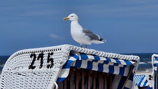 20240525  0602  Urlaub Neuharlingersiel  Teil 1 [upl. by Weil963]