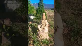 My Quiet Monastery Life 🤫 Late Spring Morning Part 2 monasterylife quiet asmr wildliving [upl. by Oflodur867]