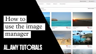 Alamy Image Manager  Tutorial [upl. by Cayser]