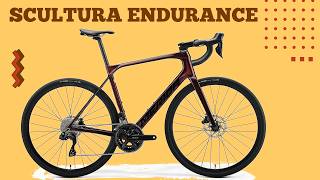 2025 MERIDA SCULTURA ENDURANCE 6000 Di2 £3300  Buyers Guide [upl. by Wren]