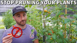 Please STOP PRUNING Your Plants Its Probably Killing Them [upl. by Crenshaw]